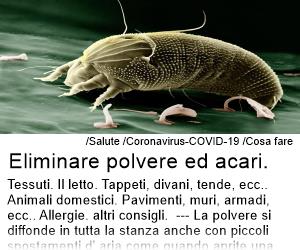 Coronavirus-COVID-19 Eliminare polvere ed acari